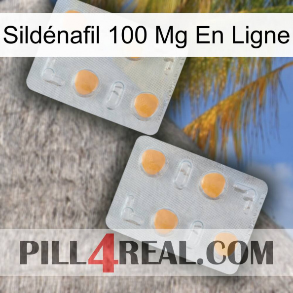 Sildénafil 100 Mg En Ligne 25.jpg